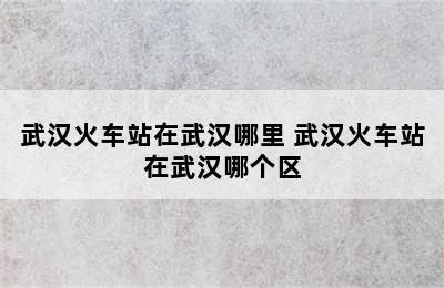 武汉火车站在武汉哪里 武汉火车站在武汉哪个区